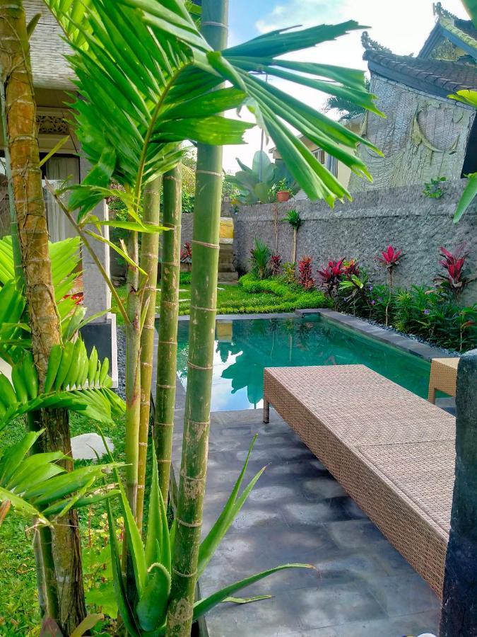 Wita House Villa Ubud  Ngoại thất bức ảnh